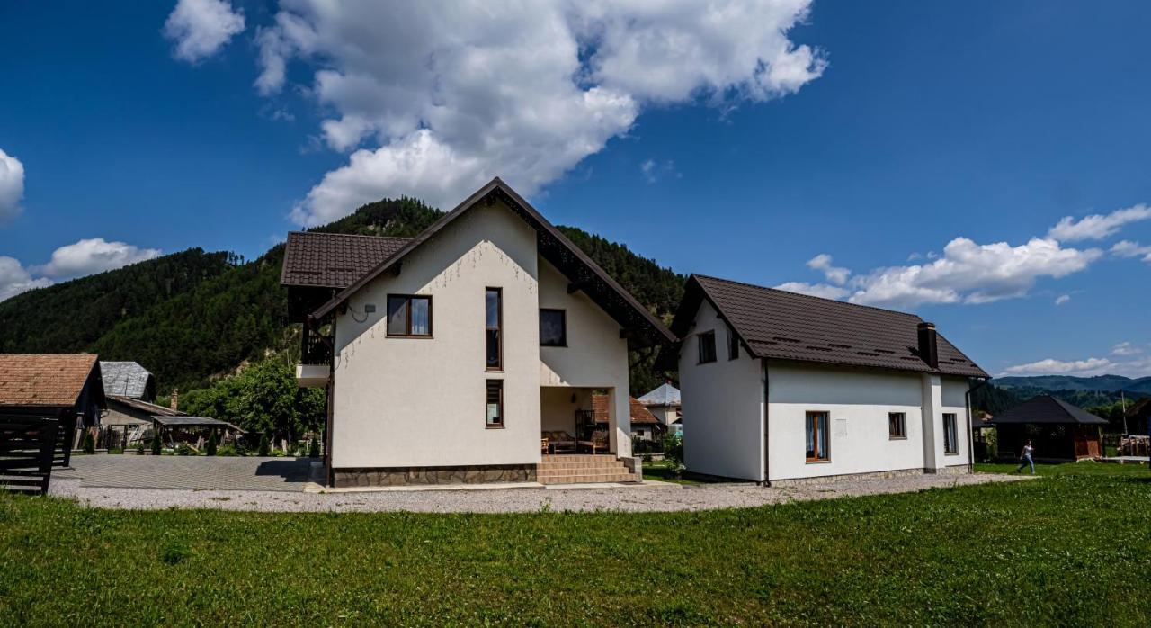 Casa Iulia Villa Pojorita Exterior photo